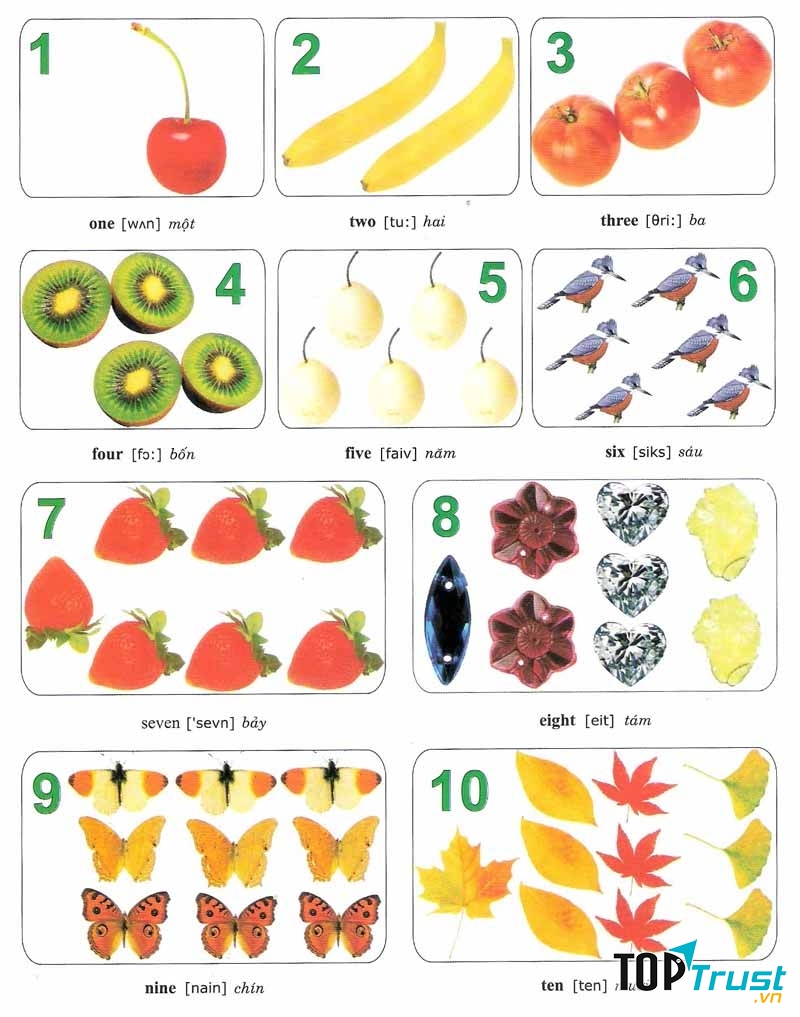 Google Images đang trao cho bạn cơ hội trau dồi kĩ năng giao tiếp