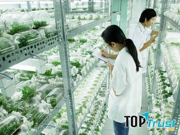 Khu thực nghiệm của Học viện