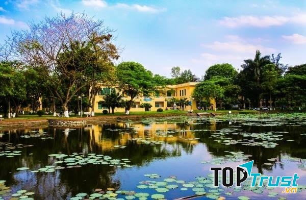 Hồ nước rộng mênh mông và những đài hoa súng nằm ngay cạnh dãy phòng học tạo cảm giác được trở về với cảnh thôn quê thanh bình