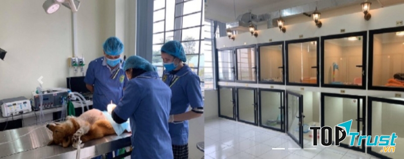 Học viện Nông nghiệp Việt Nam