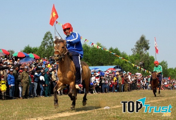 Đến đây trong ngày hội, du khách không chỉ được chiêm ngưỡng cuộc rước hoành tráng, trang nghiêm, xem lễ tế ngựa cùng bài văn tế đặc sắc