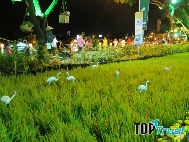 Hội hoa xuân Phú Mỹ Hưng năm