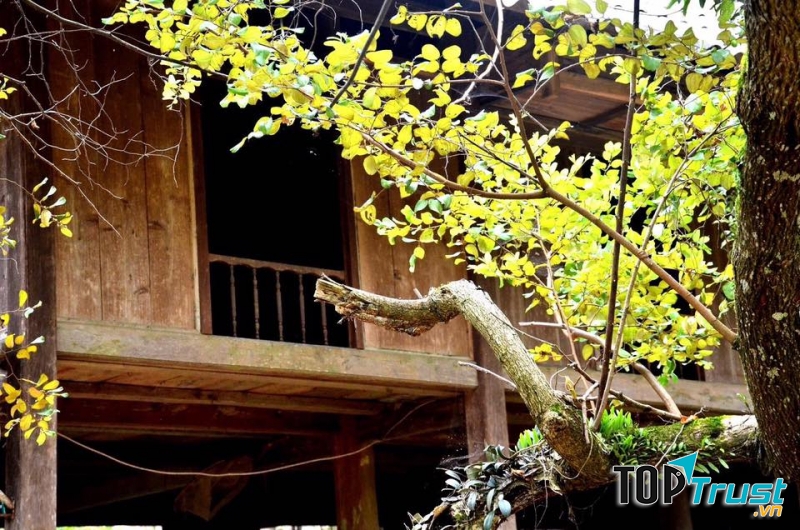 Homestay Bản Ngòi