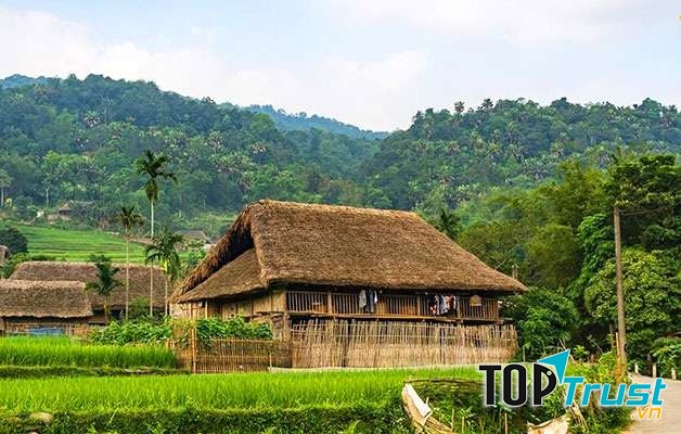 Homestay Bản Tha