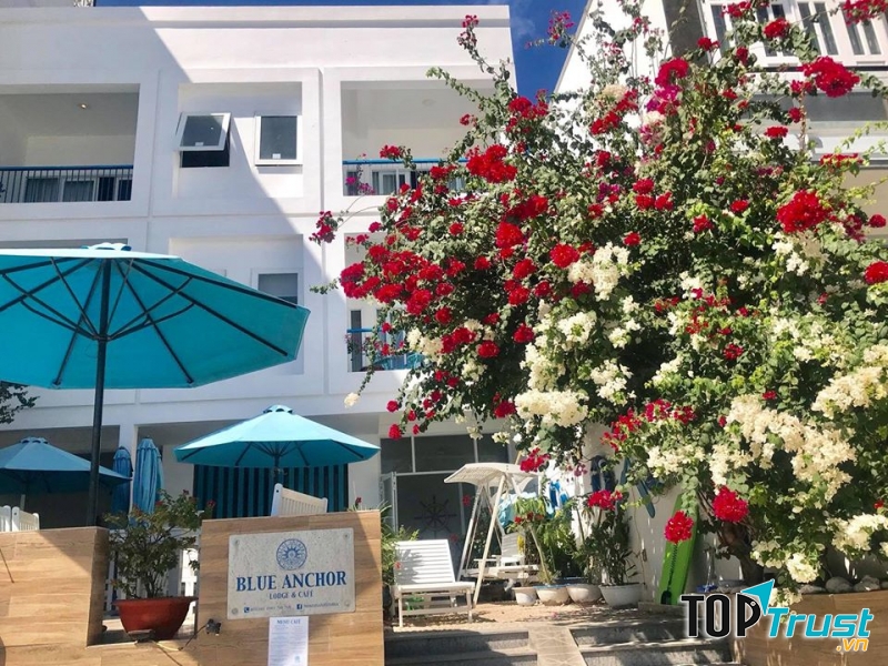 Homestay khám phá Đảo Bình Ba