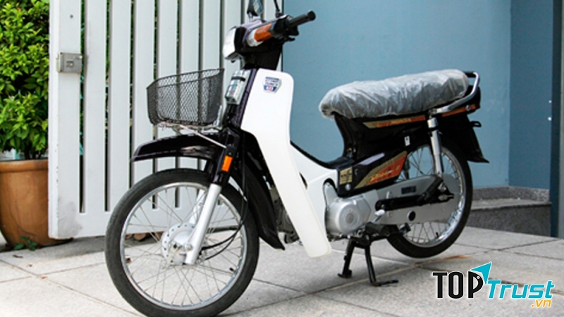 Dream màu trắng đen