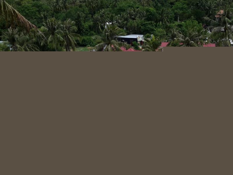 Hồng Bin Bungalow có tầm nhìn ra những cánh rừng nhiệt đới xanh tươi