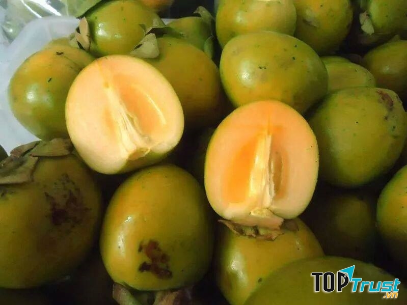 Hồng Đông Lộ và hồng Tiến