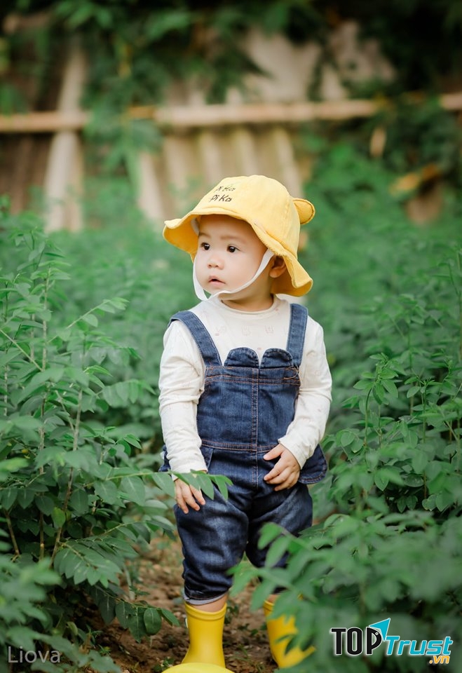 Ảnh của bé được thực hiện bởi Hồng Luyến photographer