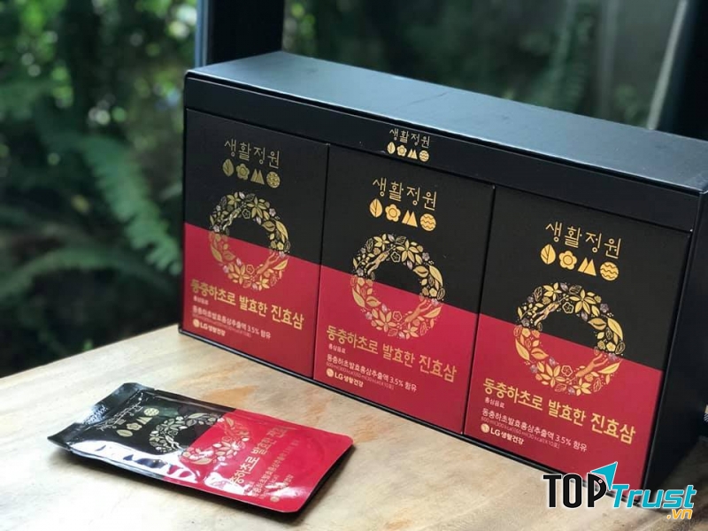 Hồng Sâm Đông Trùng Hạ Thảo