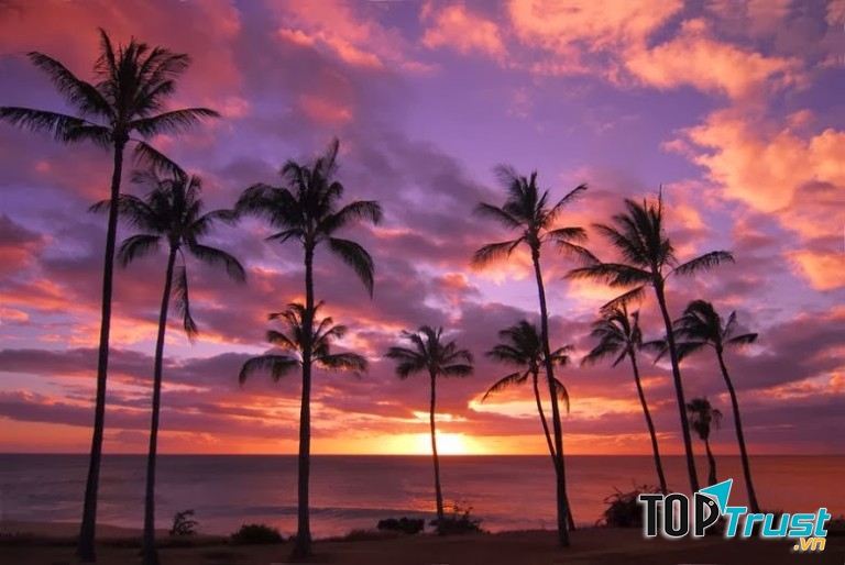 Honoluu, Hawaii - Cấm hát to khi mặt trời lặn