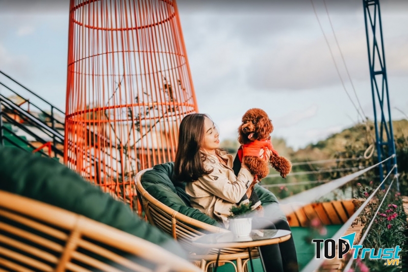 Bạn có thể thoải mái sống ảo