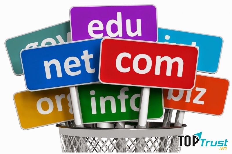 Host ổn định và domain tốt