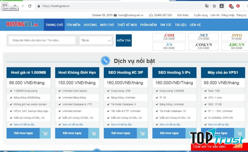 Giao diện kiểm tra tên miền trên HostingViet.vn