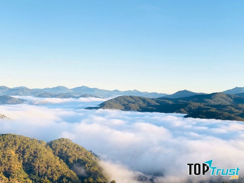 Công ty TNHH du lịch Đà Lạt Trong Tôi