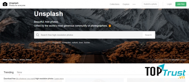 Unsplash (nguồn internet)