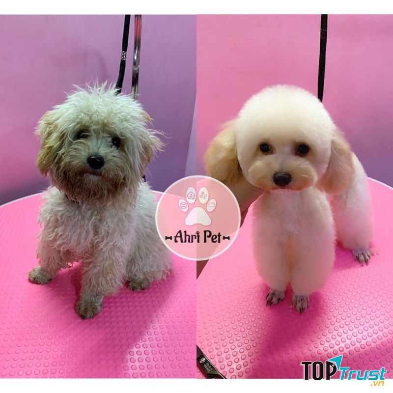 Ahri Pet - Siêu Thị & Spa Thú Cưng