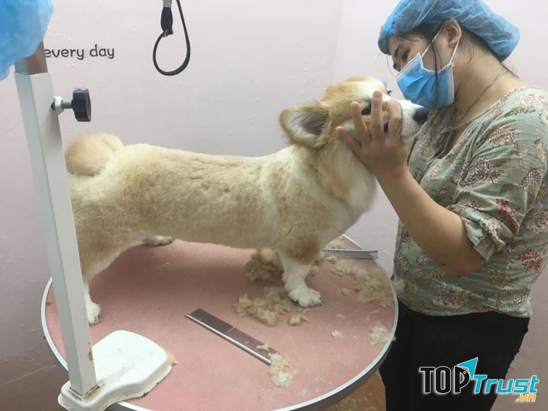 Hue Beauty Pets