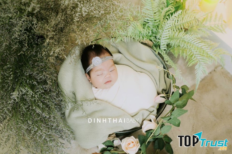 Định Thái Baby