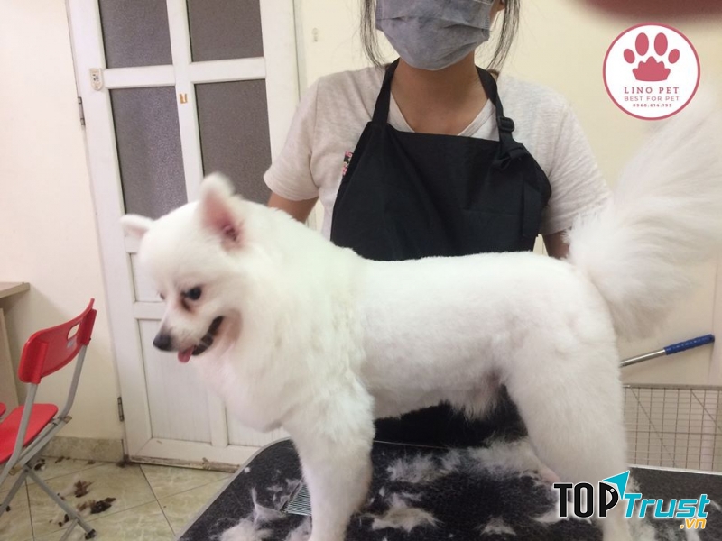 Lino Pet Salon
