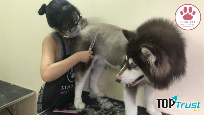 Lino Pet Salon
