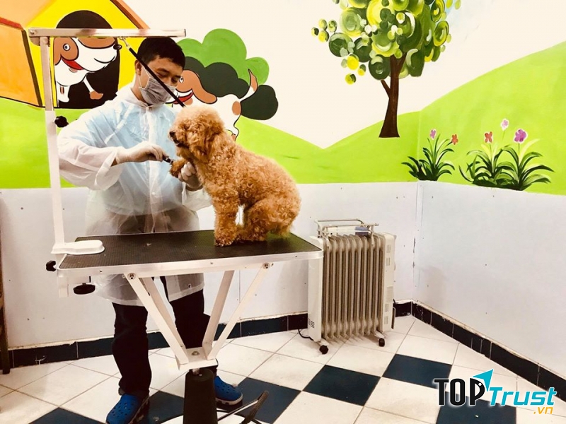 Hachiko Pet Center