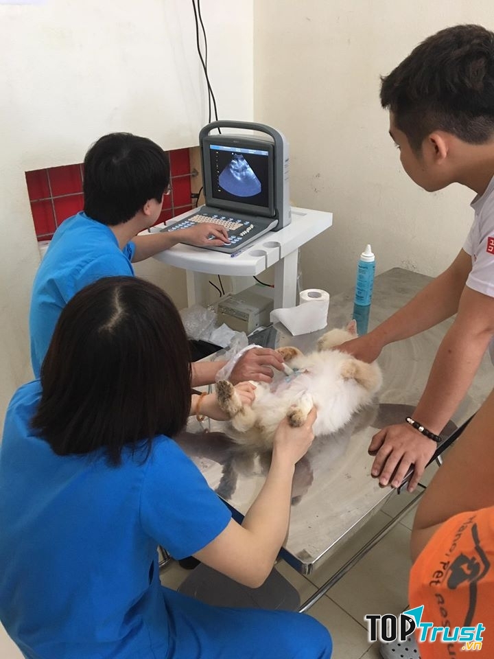 Bệnh Viện Thú cảnh Hanvet