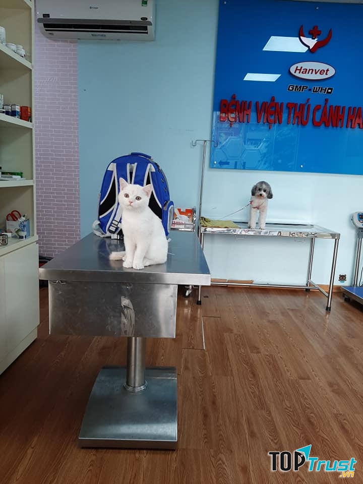 Bệnh Viện Thú cảnh Hanvet