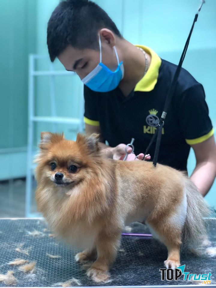 Kimi Pet