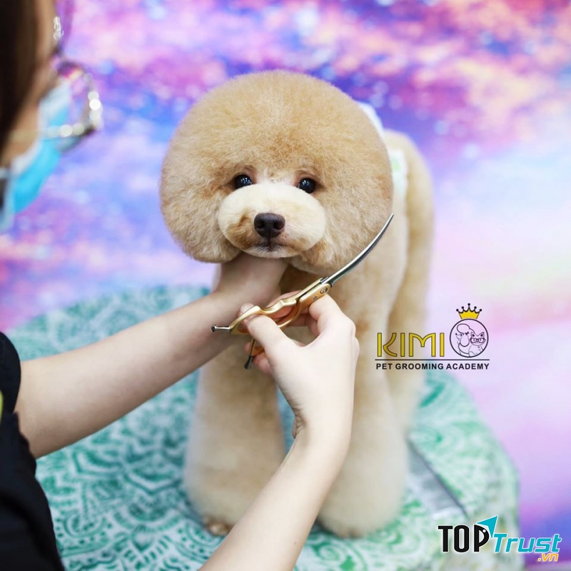 Kimi Pet - Thế Giới Thú Cưng