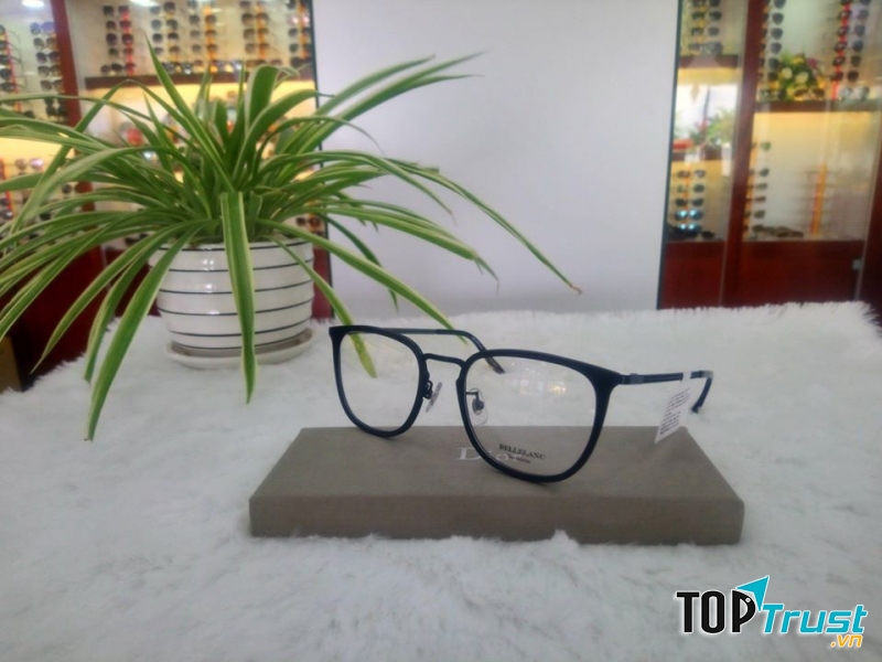 Kính mắt Việt Pháp