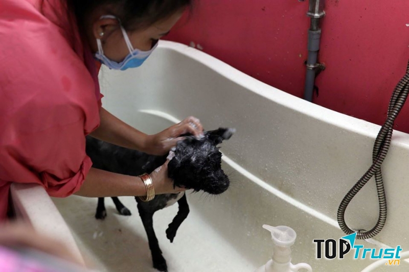 Nice Pet Clinic & Spa