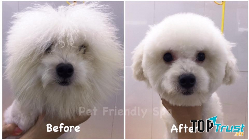 Pet Friendly Shop & Spa