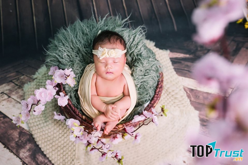 Phúc Quỳnh Studio