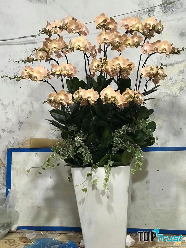 Feeling Love Flowers