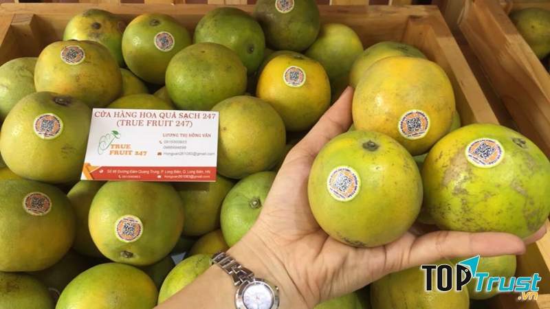 Trái cây sạch truefruit247