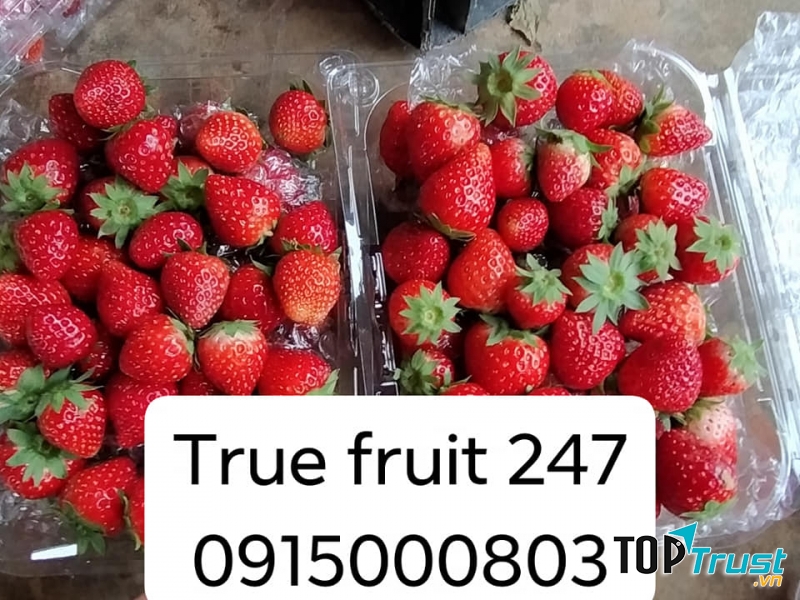 Trái cây sạch truefruit247