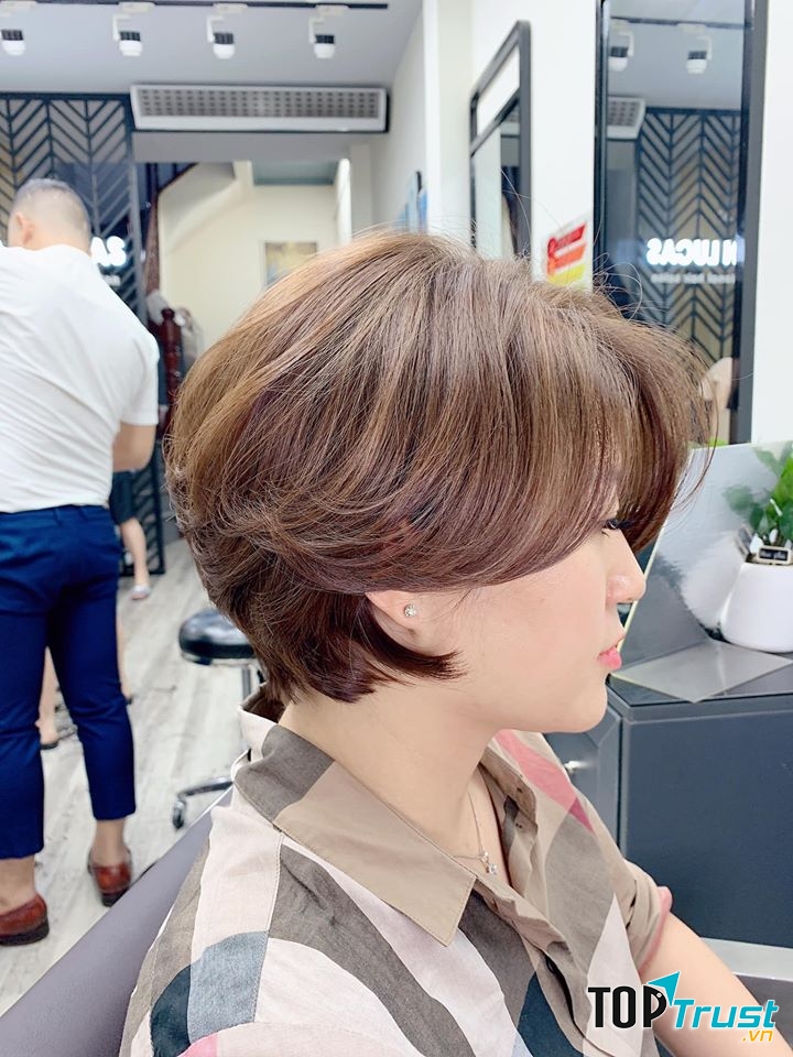 Viện Tóc Toàn Lucas