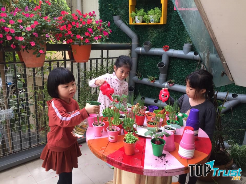 Hướng dẫn cách trang trí góc thiên nhiên