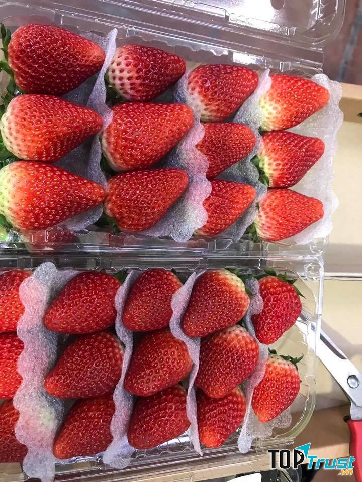 Hương Đặng Fruit Shop