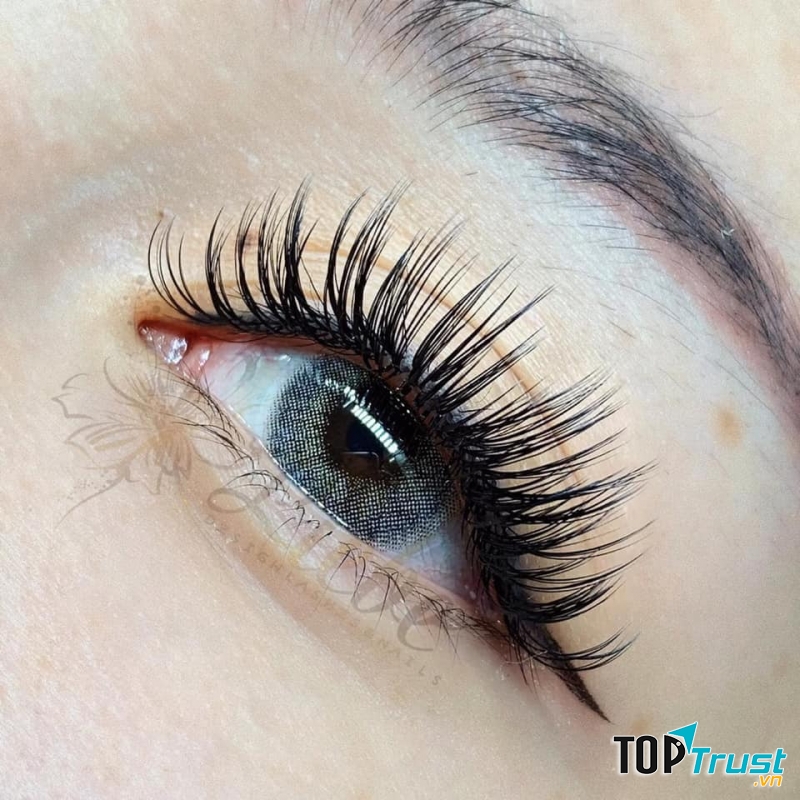 Hương Ngố Nối Mi