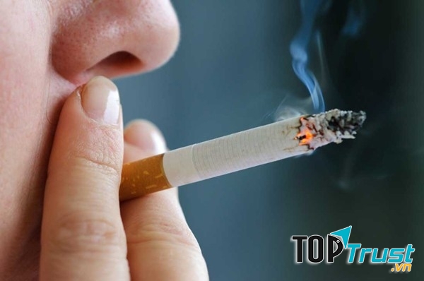 Khói thuốc chứa nhiều độc tố