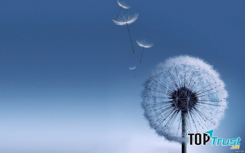 Hủy diệt người chỉ cần một câu, xây dựng người lại mất ngàn lời