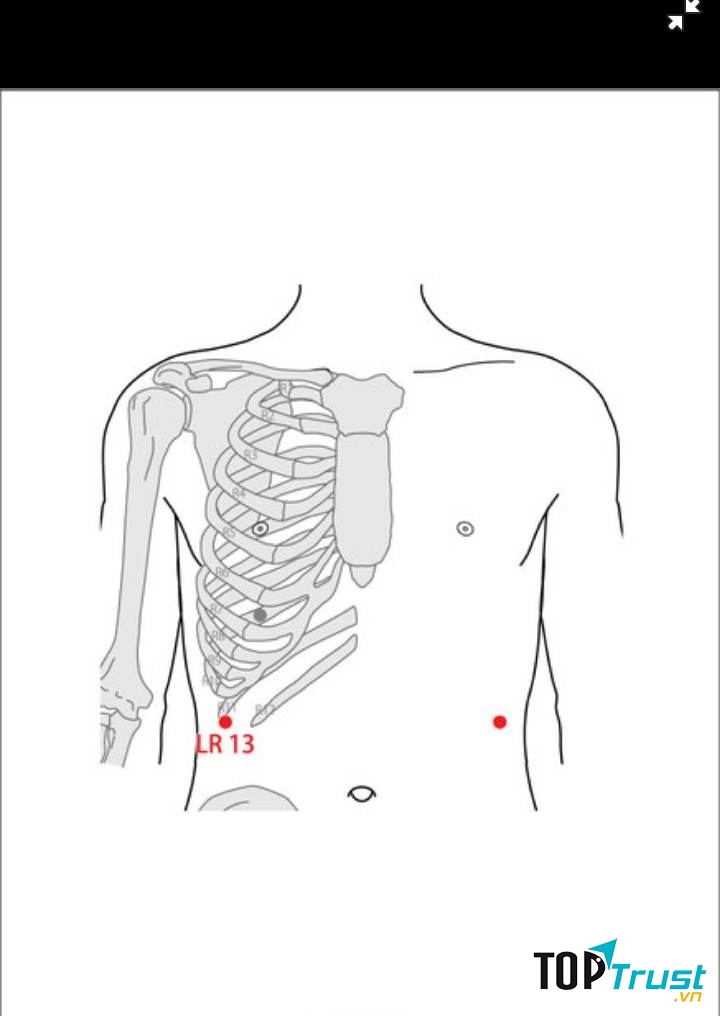 Huyệt Chương môn