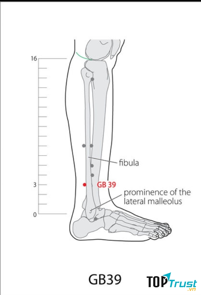 Huyệt Tuyệt cốt còn có tên gọi khác là Huyền chung