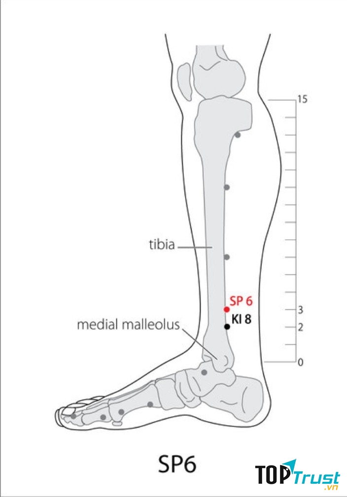 Huyệt Tam âm giao