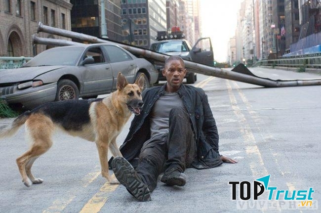 I am Legend (2007)