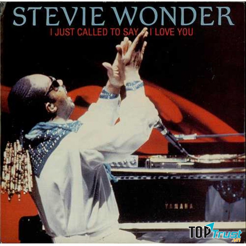 Stevie Wonder