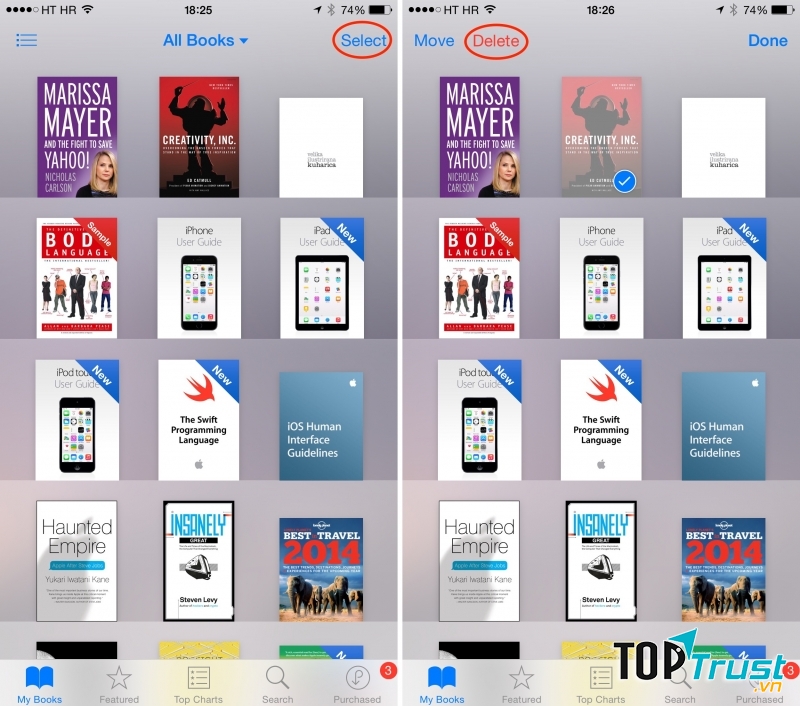 Nhiều đầu sách trên iBooks