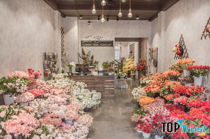 IN BLOOM - Hoa lụa cao cấp